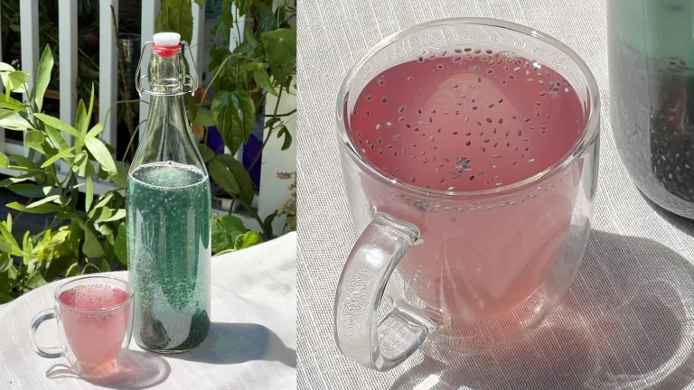 Homemade Hydration Shot
