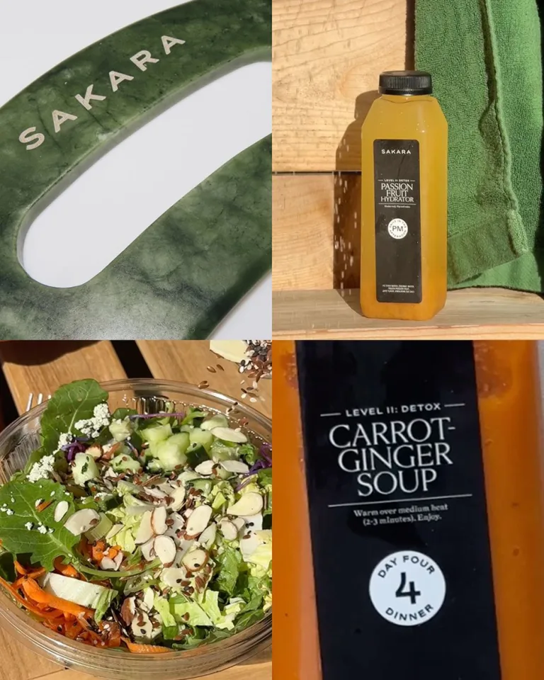 Level II: Detox | Sakara Life