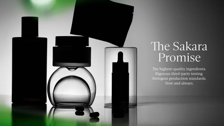 THE SAKARA PROMISE