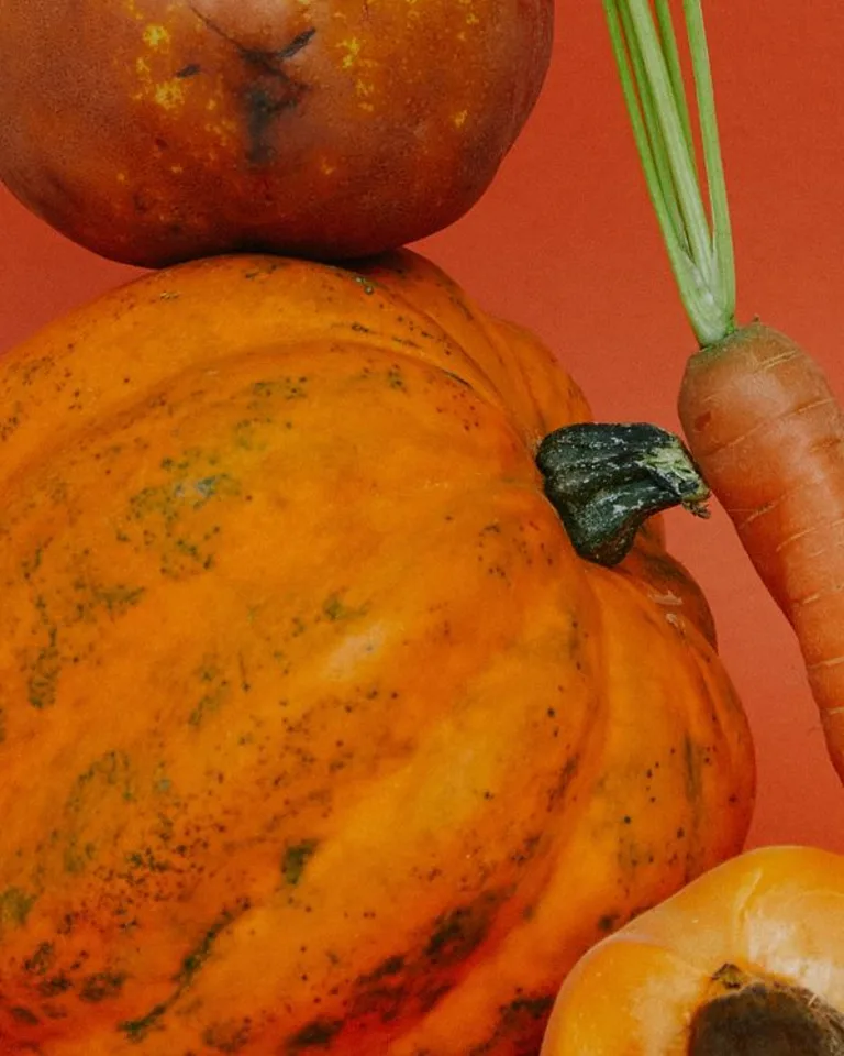 Fiber & Flow: A Seasonal Guide to Letting Go