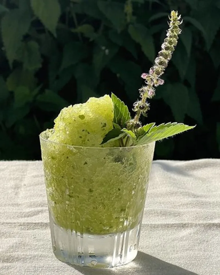 Refreshing Melon Granita Recipe