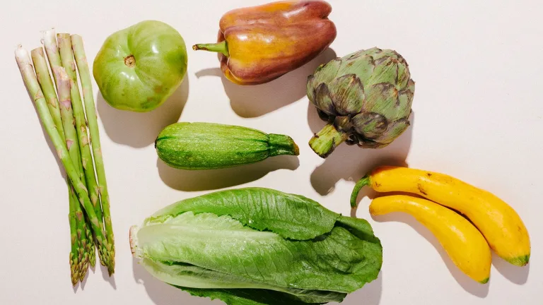 The Plant Protein Plan