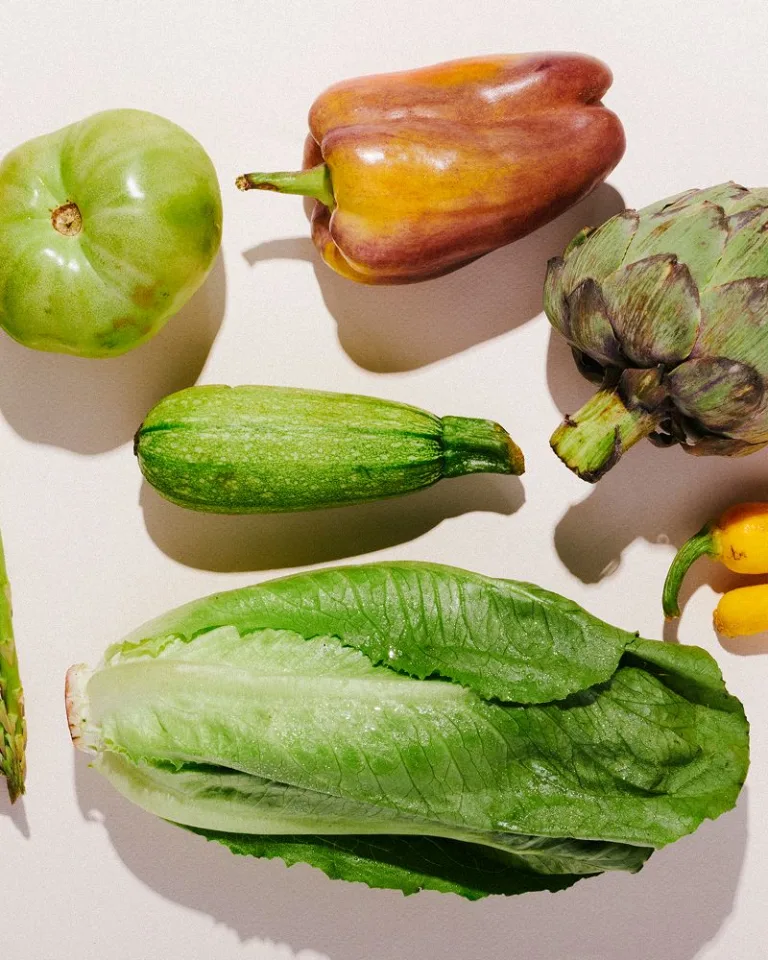 The Plant Protein Plan